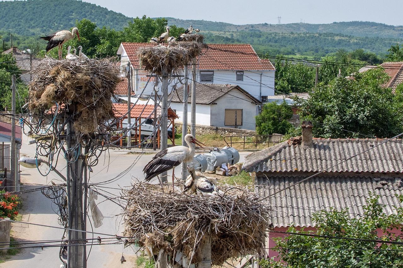 Bed&Breakfast Delikates Stojakovo Exterior foto